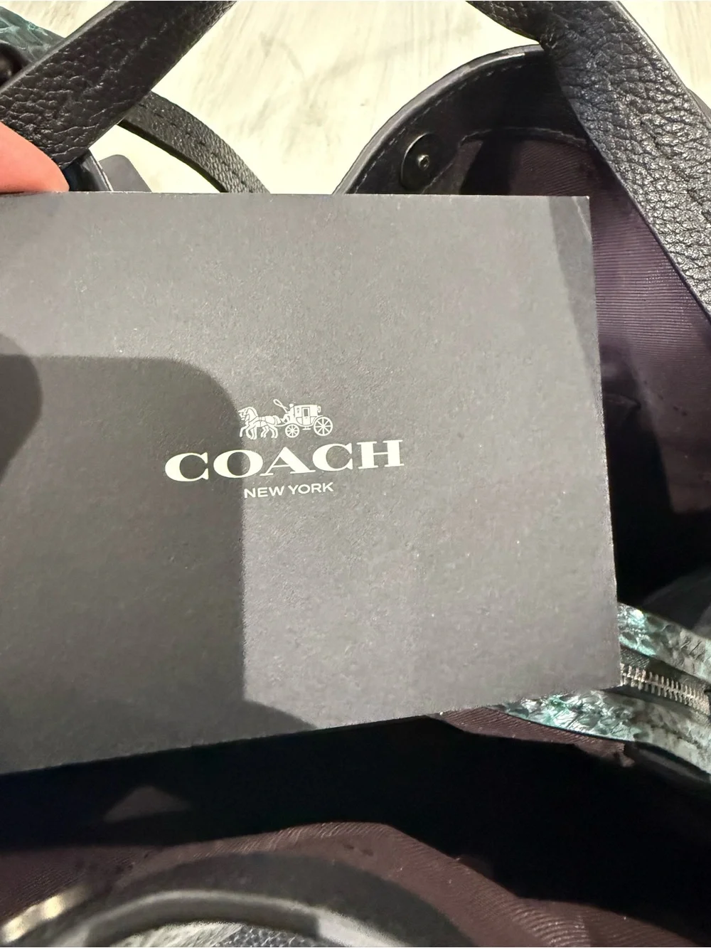 Coach Dalton 31 Black Shoulder Bag with Teal Snake-Print Strap and Suede